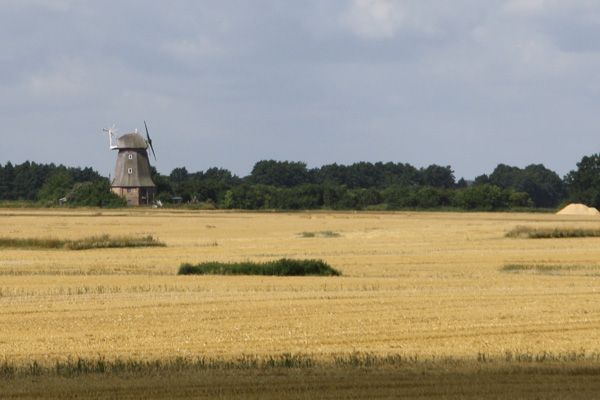 Windmill